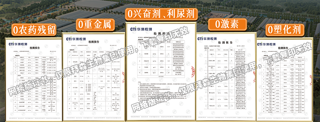 16700e2b47d6d993e8db50a8b0fd293