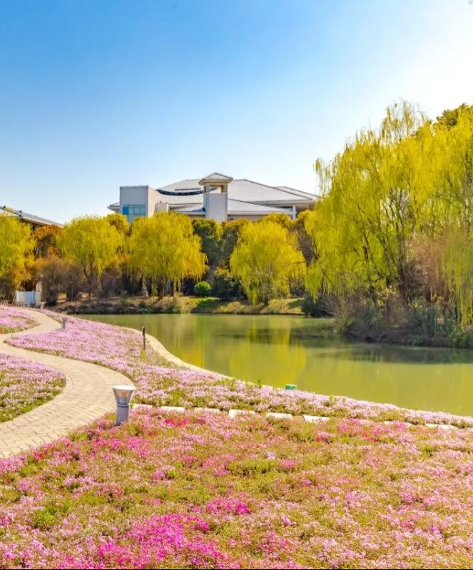 d779af26079caef626dc800993220c6b