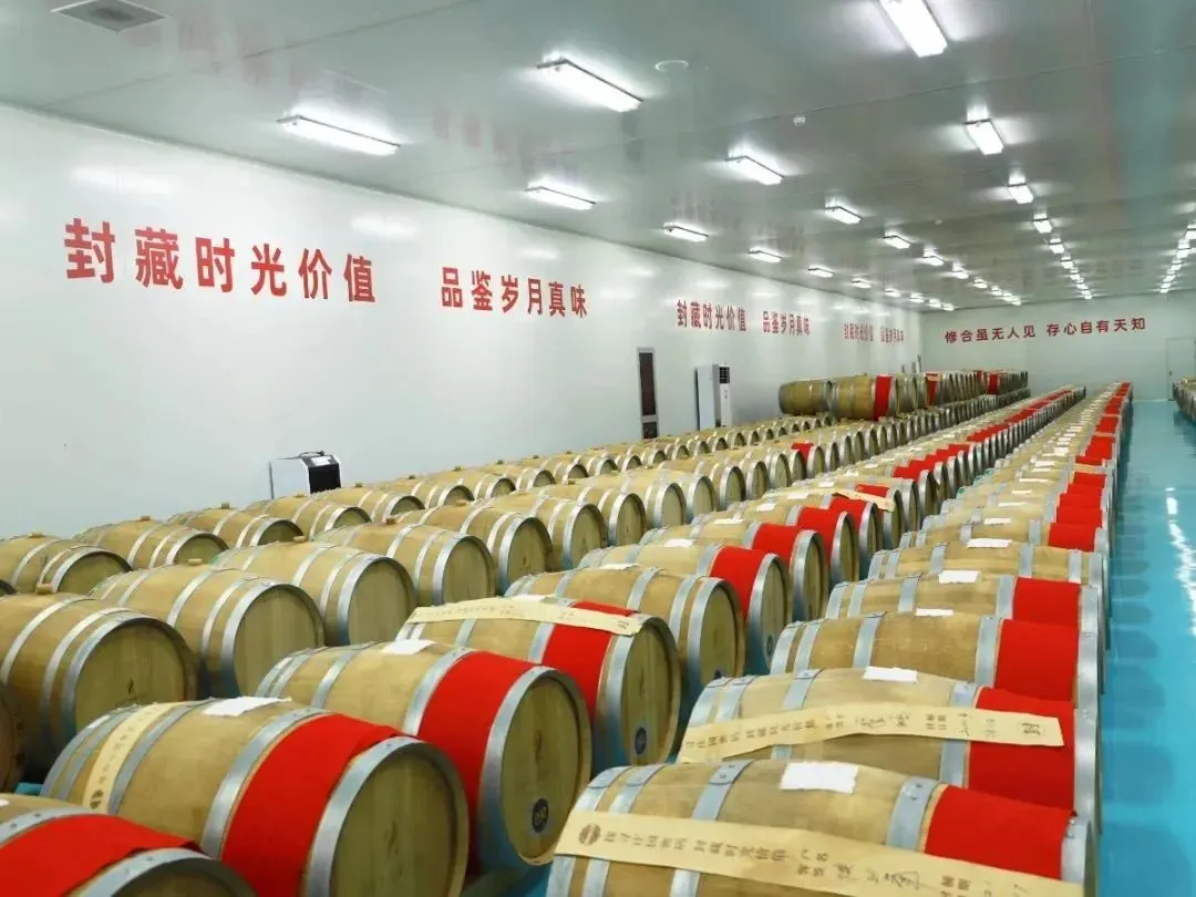 7ac62dbfd6fc867d158c6acc80009464