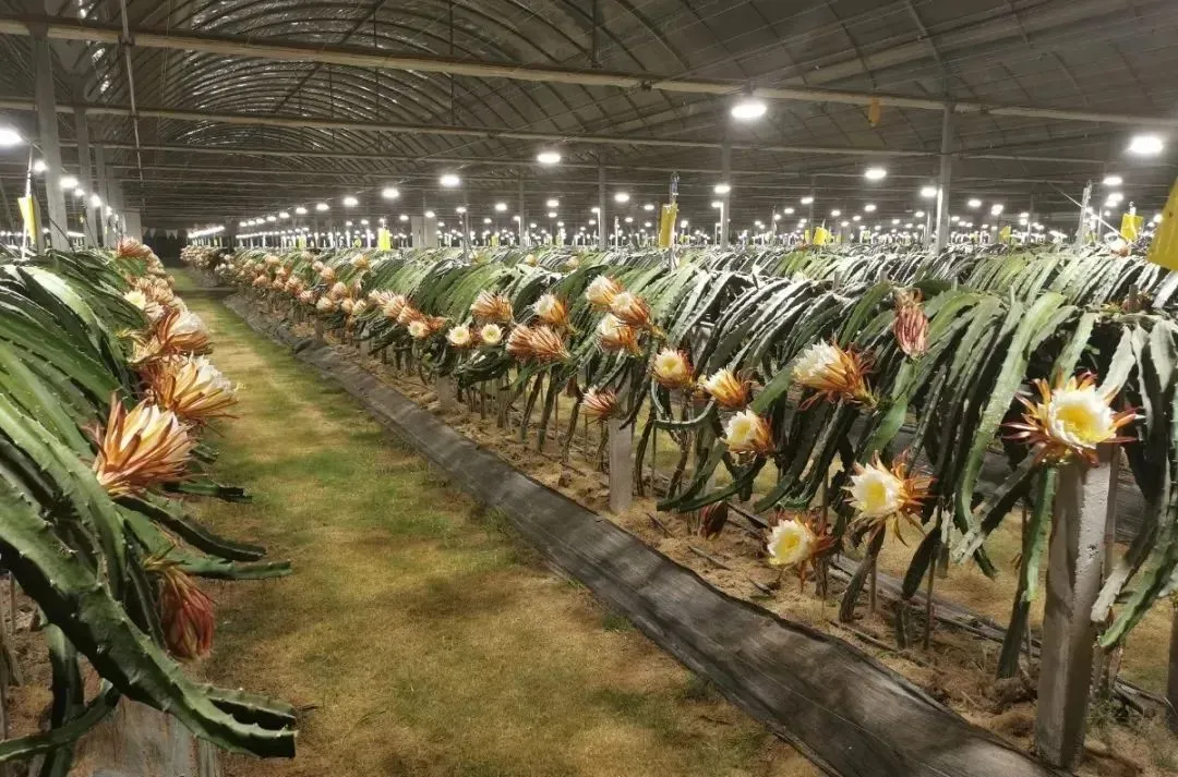 9470bf33cf078f49795f4fbc15ada251